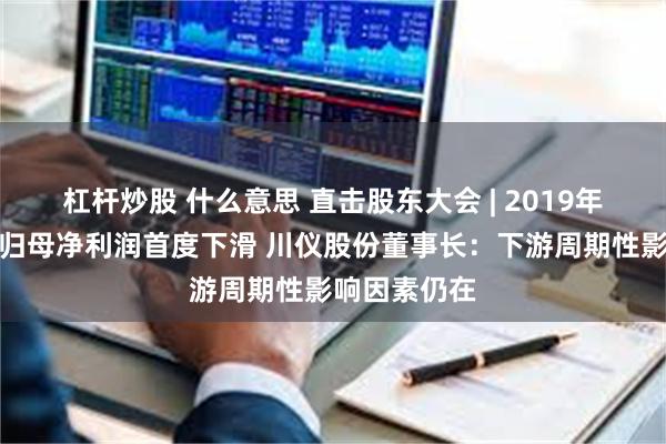 杠杆炒股 什么意思 直击股东大会 | 2019年以来扣非后归母净利润首度下滑 川仪股份董事长：下游周期性影响因素仍在