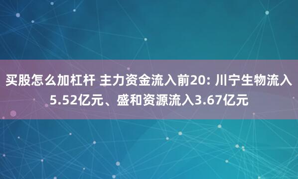 买股怎么加杠杆 主力资金流入前20: 川宁生物流入5.52亿元、盛和资源流入3.67亿元