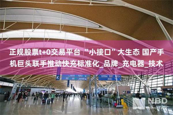 正规股票t+0交易平台 “小接口”大生态 国产手机巨头联手推动快充标准化_品牌_充电器_技术