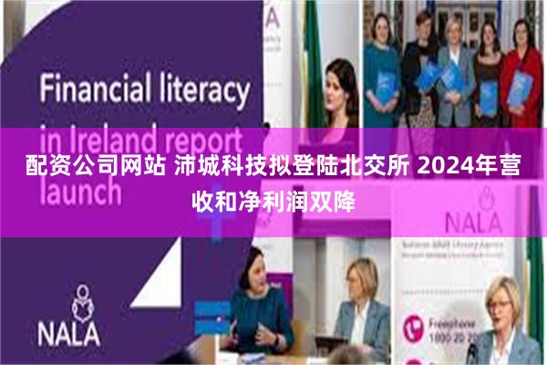 配资公司网站 沛城科技拟登陆北交所 2024年营收和净利润双降