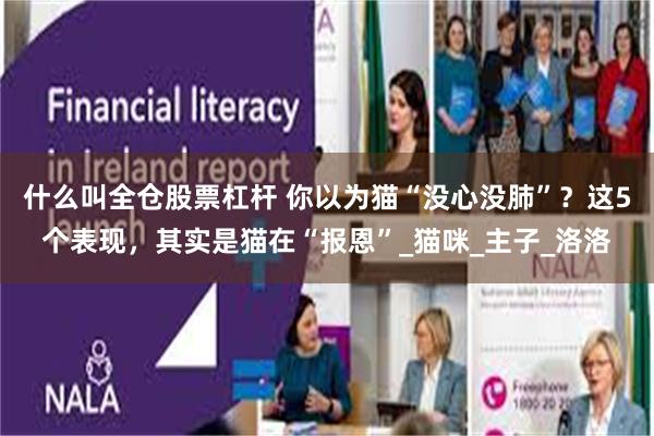 什么叫全仓股票杠杆 你以为猫“没心没肺”？这5个表现，其实是猫在“报恩”_猫咪_主子_洛洛