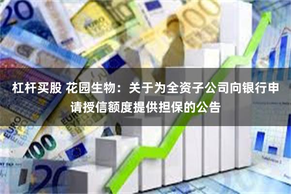 杠杆买股 花园生物：关于为全资子公司向银行申请授信额度提供担保的公告