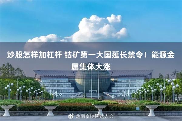 炒股怎样加杠杆 钴矿第一大国延长禁令！能源金属集体大涨