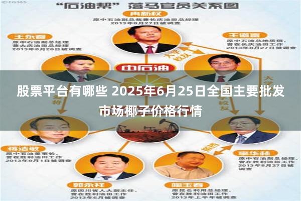 股票平台有哪些 2025年6月25日全国主要批发市场椰子价格行情