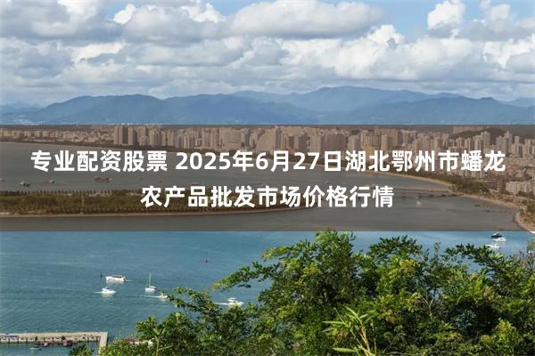 专业配资股票 2025年6月27日湖北鄂州市蟠龙农产品批发市场价格行情