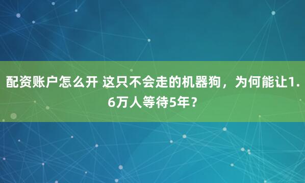 配资账户怎么开 这只不会走的机器狗，为何能让1.6万人等待5年？