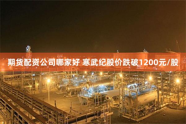 期货配资公司哪家好 寒武纪股价跌破1200元/股