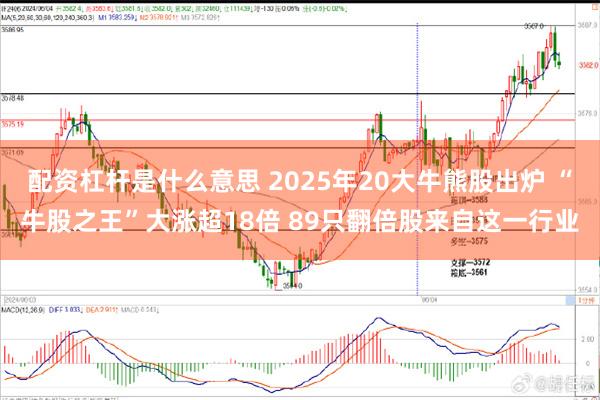 配资杠杆是什么意思 2025年20大牛熊股出炉 “牛股之王”大涨超18倍 89只翻倍股来自这一行业
